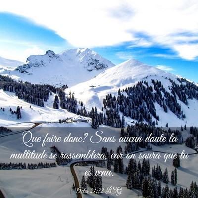 Picture 03 - Actes 21:22 LSG - Que faire donc? Sans aucun doute la multitude se - Bible Verse Picture