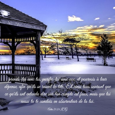 Picture 03 - Actes 21:24 LSG - prends-les avec toi, purifie-toi avec eux, et - Bible Verse Picture