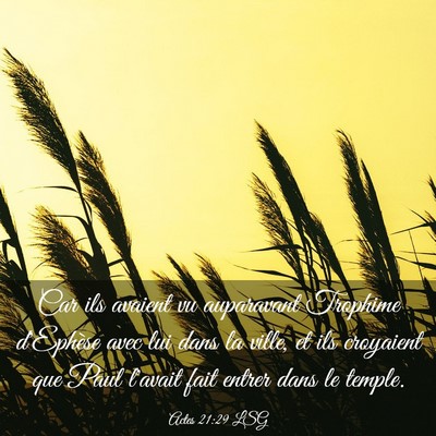 Picture 03 - Actes 21:29 LSG - Car ils avaient vu auparavant Trophime d'Ephèse - Bible Verse Picture