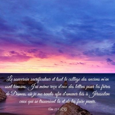 Picture 03 - Actes 22:5 LSG - Le souverain sacrificateur et tout le collège - Bible Verse Picture