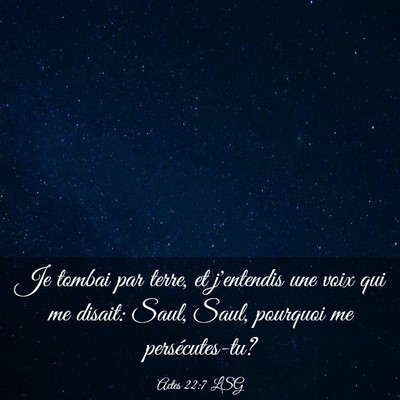 Picture 03 - Actes 22:7 LSG - Je tombai par terre, et j'entendis une voix qui - Bible Verse Picture