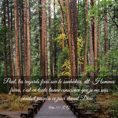 Picture 03 - Actes 23:1 LSG - Paul, les regards fixés sur le sanhédrin, dit: - Bible Verse Picture