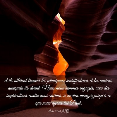 Picture 03 - Actes 23:14 LSG - et ils allèrent trouver les principaux - Bible Verse Picture