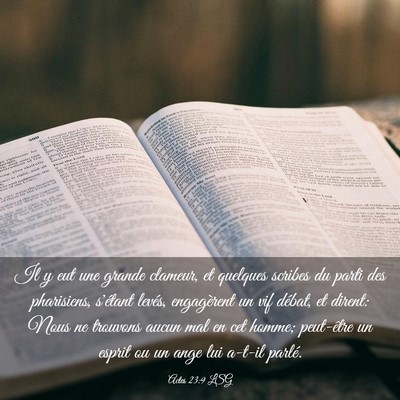 Picture 03 - Actes 23:9 LSG - Il y eut une grande clameur, et quelques scribes - Bible Verse Picture