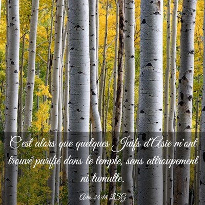 Picture 03 - Actes 24:18 LSG - C'est alors que quelques Juifs d'Asie m'ont - Bible Verse Picture