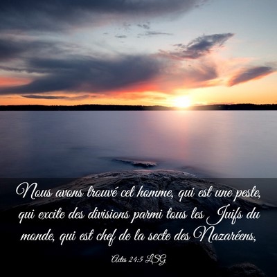 Picture 03 - Actes 24:5 LSG - Nous avons trouvé cet homme, qui est une peste, - Bible Verse Picture