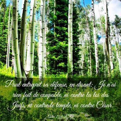 Picture 03 - Actes 25:8 LSG - Paul entreprit sa défense, en disant: Je n'ai - Bible Verse Picture
