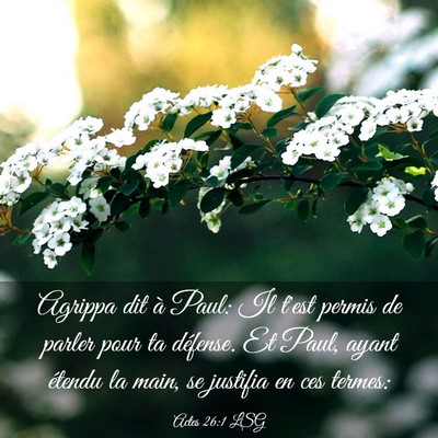 Picture 03 - Actes 26:1 LSG - Agrippa dit à Paul: Il t'est permis de parler - Bible Verse Picture