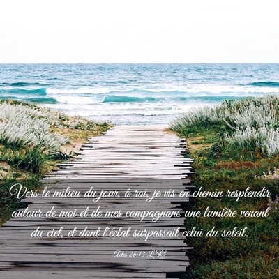 Picture 03 - Actes 26:13 LSG - Vers le milieu du jour, ô roi, je vis en chemin - Bible Verse Picture