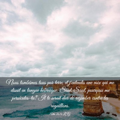 Picture 03 - Actes 26:14 LSG - Nous tombâmes tous par terre, et j'entendis une - Bible Verse Picture