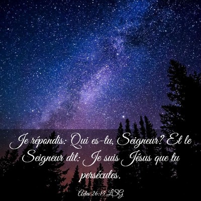 Picture 03 - Actes 26:15 LSG - Je répondis: Qui es-tu, Seigneur? Et le Seigneur - Bible Verse Picture