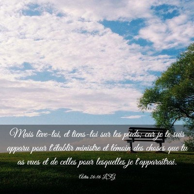 Picture 03 - Actes 26:16 LSG - Mais lève-toi, et tiens-toi sur tes pieds; car - Bible Verse Picture