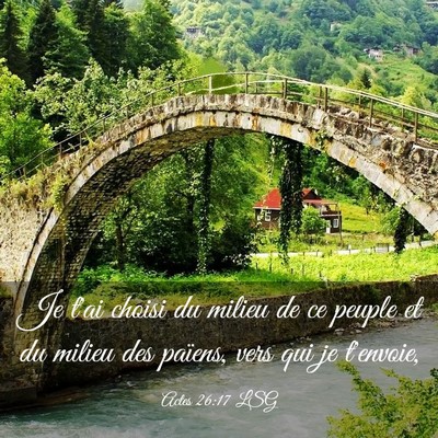 Picture 03 - Actes 26:17 LSG - Je t'ai choisi du milieu de ce peuple et du - Bible Verse Picture
