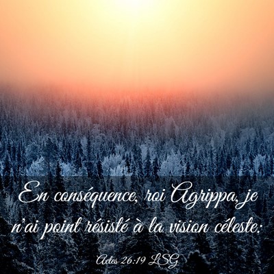 Picture 03 - Actes 26:19 LSG - En conséquence, roi Agrippa, je n'ai point - Bible Verse Picture