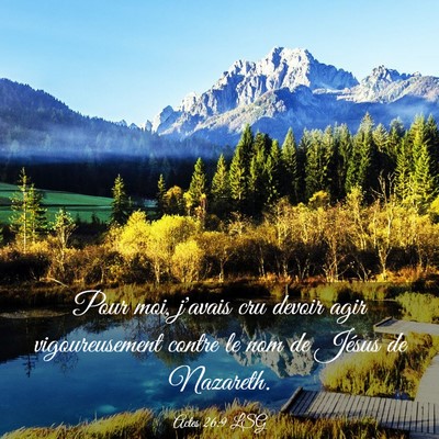 Picture 03 - Actes 26:9 LSG - Pour moi, j'avais cru devoir agir vigoureusement - Bible Verse Picture