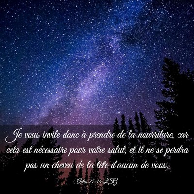 Picture 03 - Actes 27:34 LSG - Je vous invite donc à prendre de la nourriture, - Bible Verse Picture