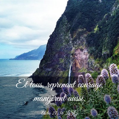 Picture 03 - Actes 27:36 LSG - Et tous, reprenant courage, mangèrent - Bible Verse Picture