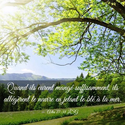 Picture 03 - Actes 27:38 LSG - Quand ils eurent mangé suffisamment, ils - Bible Verse Picture