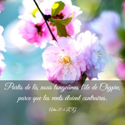 Picture 03 - Actes 27:4 LSG - Partis de là, nous longeâmes l'île de Chypre, - Bible Verse Picture