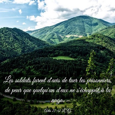 Picture 03 - Actes 27:42 LSG - Les soldats furent d'avis de tuer les - Bible Verse Picture