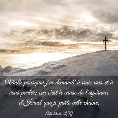 Picture 03 - Actes 28:20 LSG - Voilà pourquoi j'ai demandé à vous voir et à - Bible Verse Picture