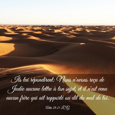 Picture 03 - Actes 28:21 LSG - Ils lui répondirent: Nous n'avons reçu de - Bible Verse Picture