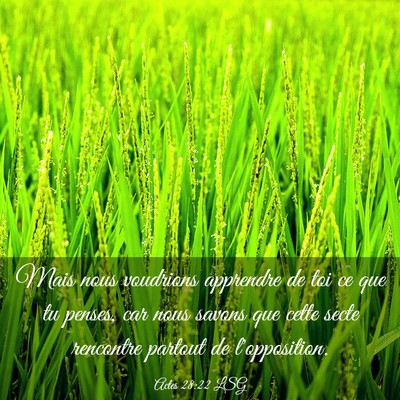 Picture 03 - Actes 28:22 LSG - Mais nous voudrions apprendre de toi ce que tu - Bible Verse Picture