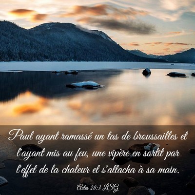 Picture 03 - Actes 28:3 LSG - Paul ayant ramassé un tas de broussailles et - Bible Verse Picture