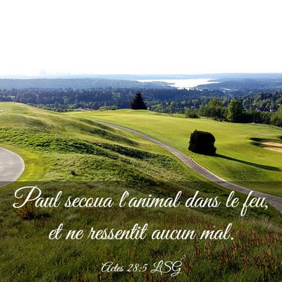 Picture 03 - Actes 28:5 LSG - Paul secoua l'animal dans le feu, et ne ressentit - Bible Verse Picture
