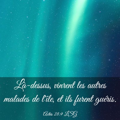 Picture 03 - Actes 28:9 LSG - Là-dessus, vinrent les autres malades de l'île, - Bible Verse Picture