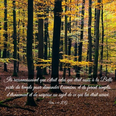 Picture 03 - Actes 3:10 LSG - Ils reconnaissaient que c'était celui qui était - Bible Verse Picture