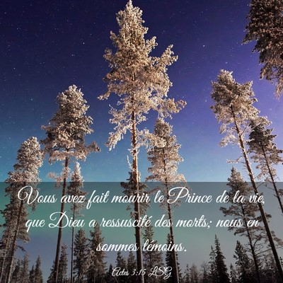 Picture 03 - Actes 3:15 LSG - Vous avez fait mourir le Prince de la vie, que - Bible Verse Picture