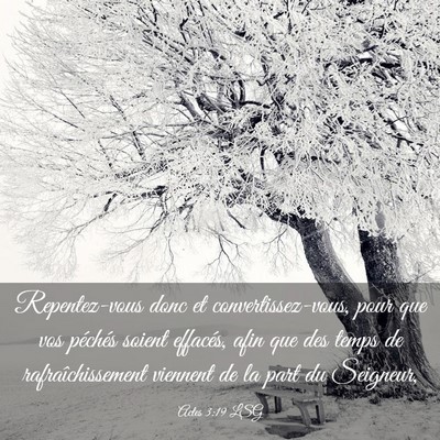 Picture 03 - Actes 3:19 LSG - Repentez-vous donc et convertissez-vous, pour que - Bible Verse Picture