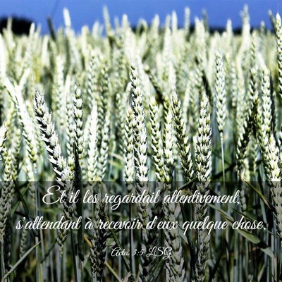 Picture 03 - Actes 3:5 LSG - Et il les regardait attentivement, s'attendant à - Bible Verse Picture