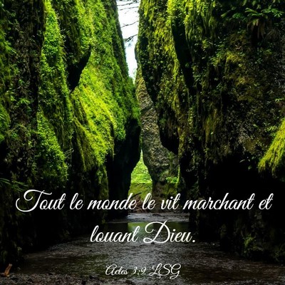 Picture 03 - Actes 3:9 LSG - Tout le monde le vit marchant et louant - Bible Verse Picture