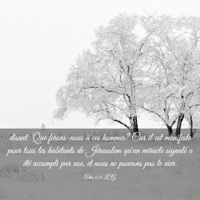 Picture 03 - Actes 4:16 LSG - disant: Que ferons-nous à ces hommes? Car il est - Bible Verse Picture