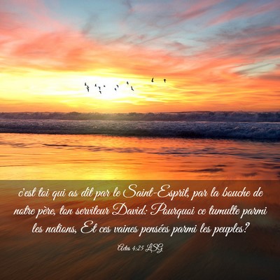 Picture 03 - Actes 4:25 LSG - c'est toi qui as dit par le Saint-Esprit, par la - Bible Verse Picture
