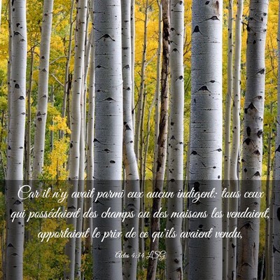 Picture 03 - Actes 4:34 LSG - Car il n'y avait parmi eux aucun indigent: tous - Bible Verse Picture