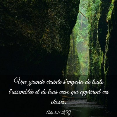 Picture 03 - Actes 5:11 LSG - Une grande crainte s'empara de toute l'assemblée - Bible Verse Picture
