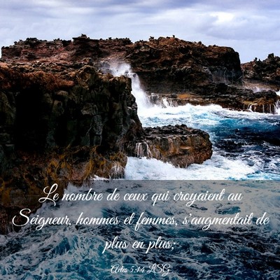 Picture 03 - Actes 5:14 LSG - Le nombre de ceux qui croyaient au Seigneur, - Bible Verse Picture