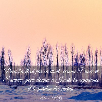 Picture 03 - Actes 5:31 LSG - Dieu l'a élevé par sa droite comme Prince et - Bible Verse Picture