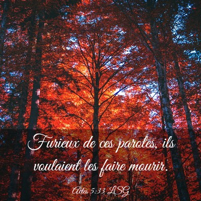Picture 03 - Actes 5:33 LSG - Furieux de ces paroles, ils voulaient les faire - Bible Verse Picture