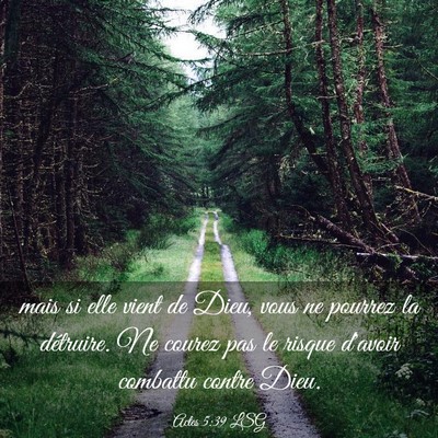 Picture 03 - Actes 5:39 LSG - mais si elle vient de Dieu, vous ne pourrez la - Bible Verse Picture