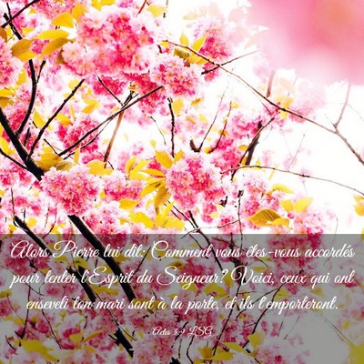 Picture 03 - Actes 5:9 LSG - Alors Pierre lui dit: Comment vous êtes-vous - Bible Verse Picture