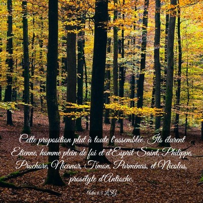 Picture 03 - Actes 6:5 LSG - Cette proposition plut à toute l'assemblée. Ils - Bible Verse Picture
