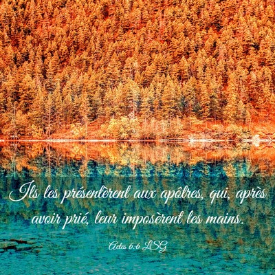 Picture 03 - Actes 6:6 LSG - Ils les présentèrent aux apôtres, qui, après - Bible Verse Picture