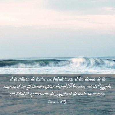 Picture 03 - Actes 7:10 LSG - et le délivra de toutes ses tribulations; il lui - Bible Verse Picture