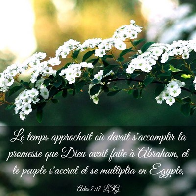 Picture 03 - Actes 7:17 LSG - Le temps approchait où devait s'accomplir la - Bible Verse Picture