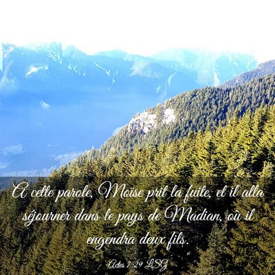 Picture 03 - Actes 7:29 LSG - A cette parole, Moïse prit la fuite, et il alla - Bible Verse Picture