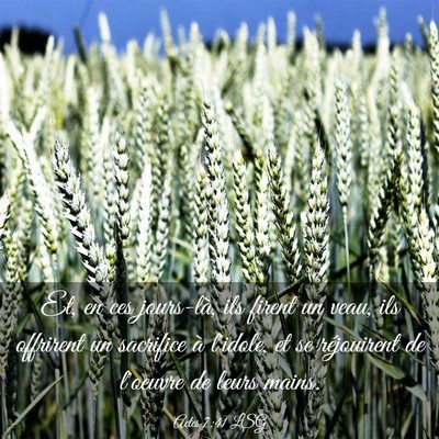 Picture 03 - Actes 7:41 LSG - Et, en ces jours-là, ils firent un veau, ils - Bible Verse Picture